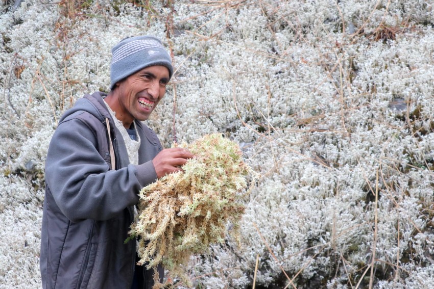 Borrower Spotlight: MCE Social Capital