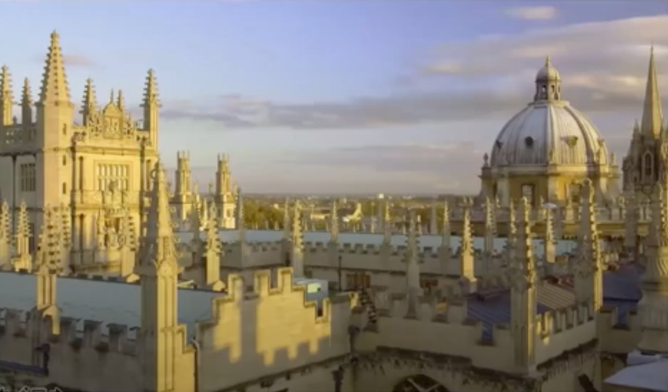 Webinar: Oxford Social Finance Programme - Build Back Better through Blended Capital