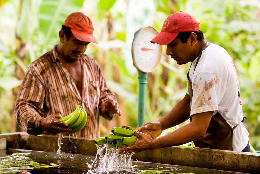 Financing the Farming of the Future