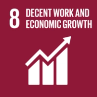 Decent Work and Economic Growth icon