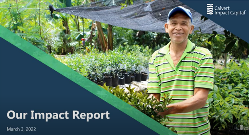 2021 Impact Report Webinar