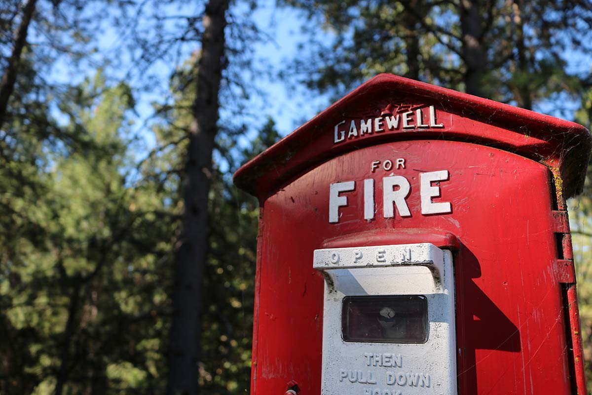Forest Resilience Bond: a new mechanism for fighting fire with finance