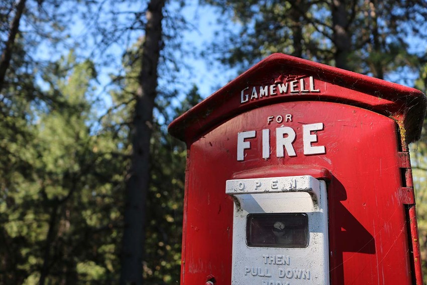 Forest Resilience Bond: a new mechanism for fighting fire with finance