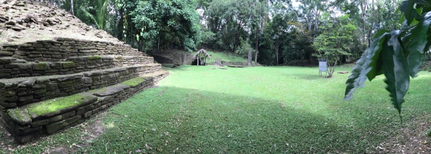 Perspectives from the Field: Mexico