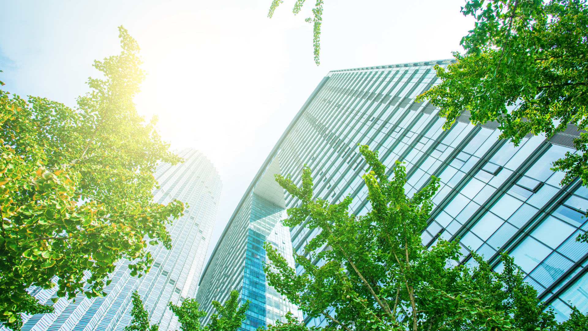 Cut Carbon Note® featured image