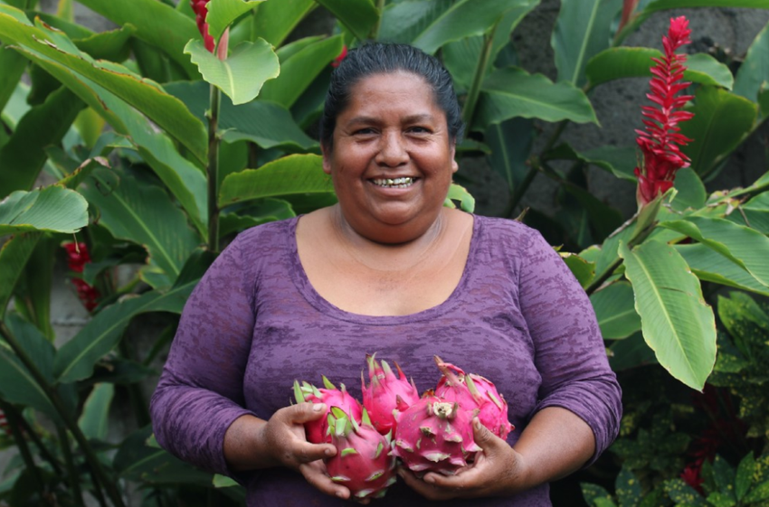 Success Story: MCE Social Capital