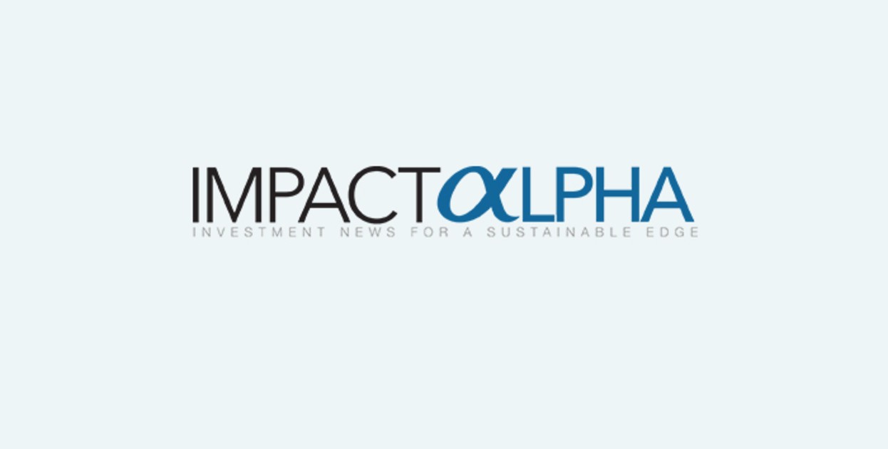PCI Media Impact’s Meesha Brown, Catalyze Global Impact’s Jennifer Isern, NYU Law School professor Deborah Burand, and Fern Thomas, ex- of Cornerstone Capital Group, join the board of Calvert Impact Capital