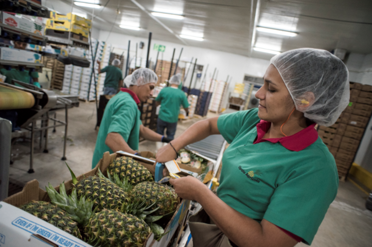 Calvert Impact Capital expands relationship with eco.business Fund to increase financing for biodiversity conservation