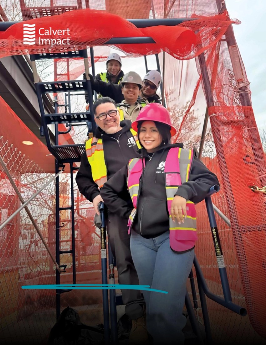 Impact Investing: A Guide for Institutional Investors