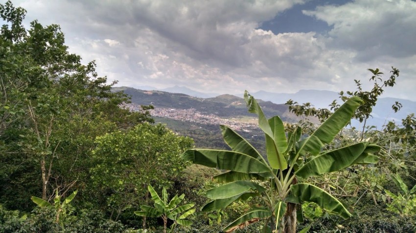 Visit to Fair Trade Coffee Cooperatives in Peru