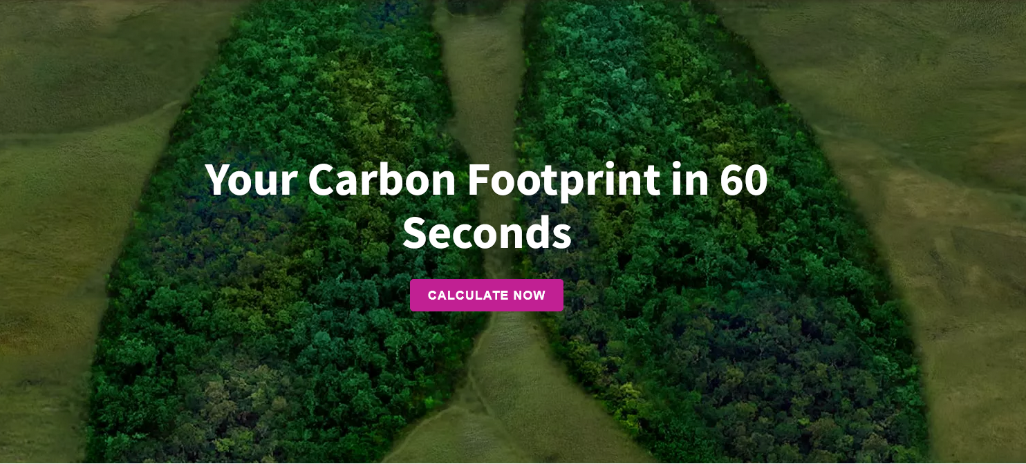Calvert Impact Capital Enters Partnership with 8 Billion Trees to Offset Carbon Emissions