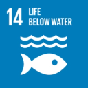 Life Below Water icon