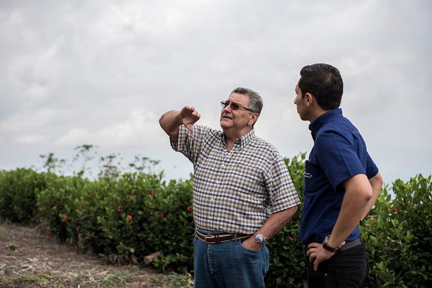 Promoting Sustainable Business Practices