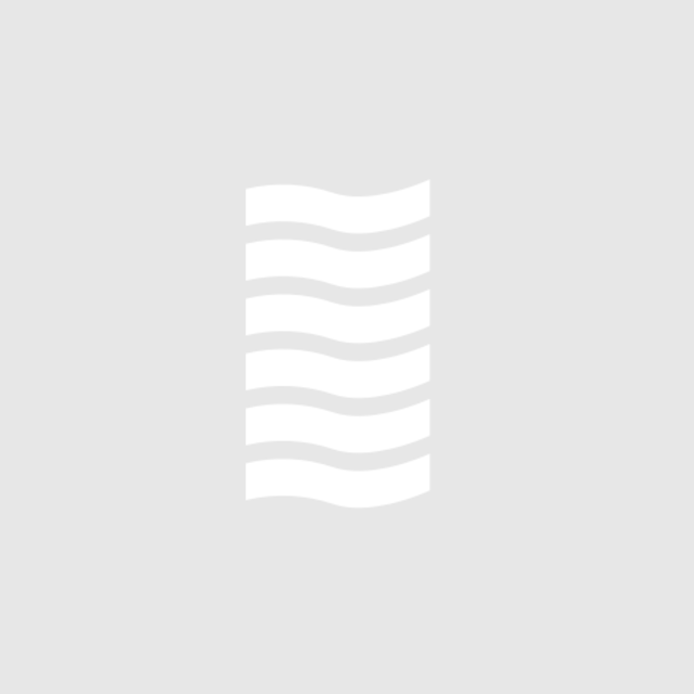 Songbae Lee portrait