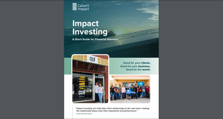 Impact Investing: A Short Guide for Financial Advisors