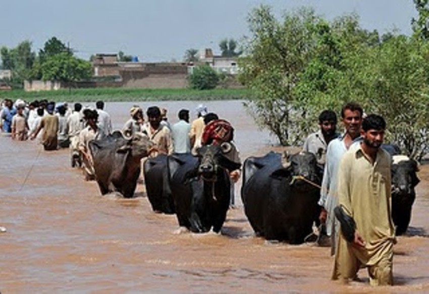 Support for the Flood Victims of Pakistan