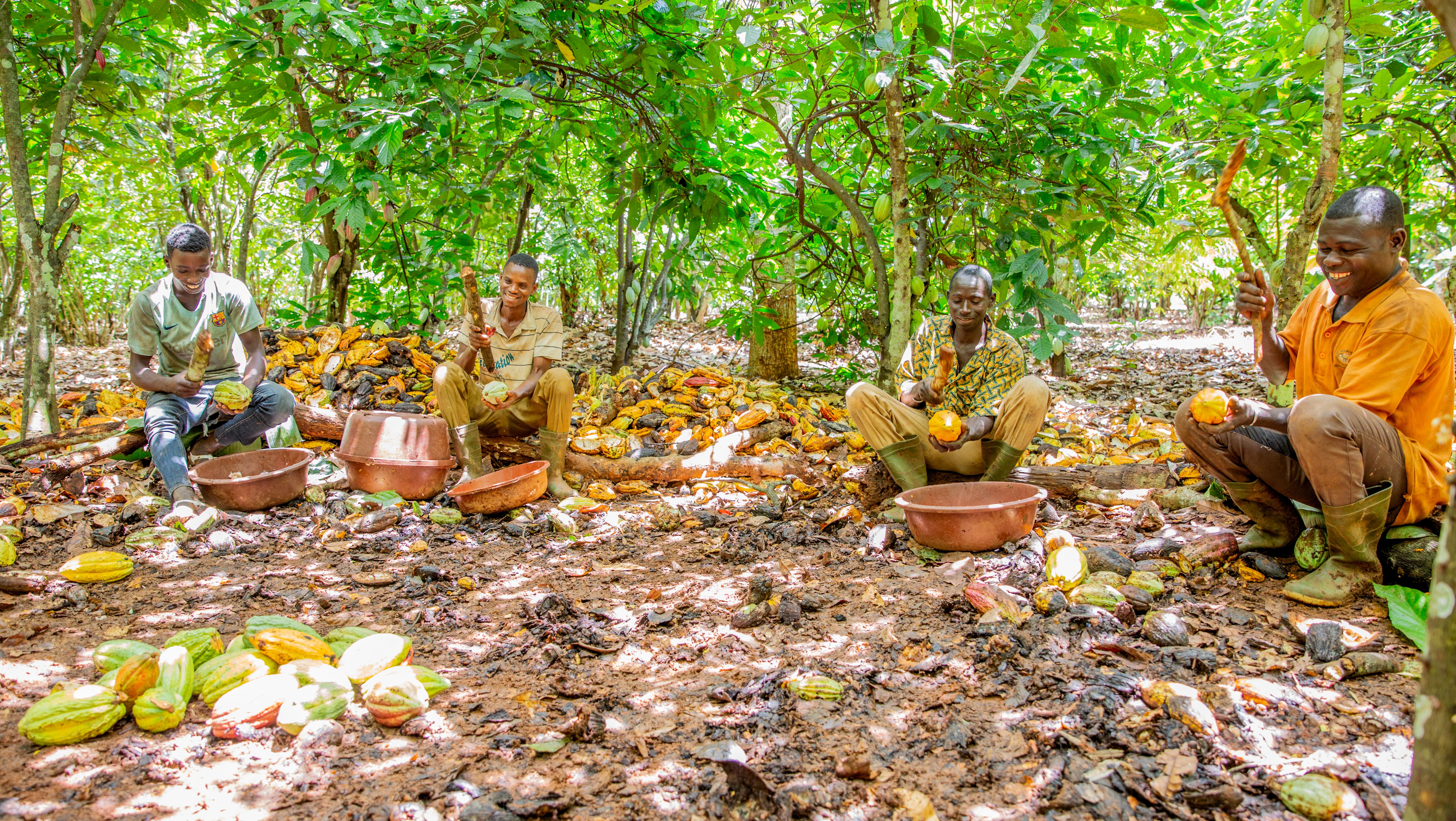 Resilient Communities, Lasting Impact