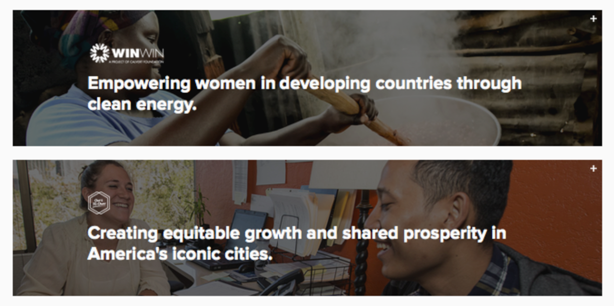 2015 Impact Report Launches