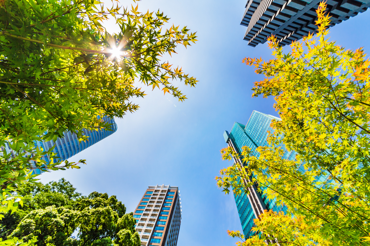 We offer a suite of syndication and structuring services to move more money into communities