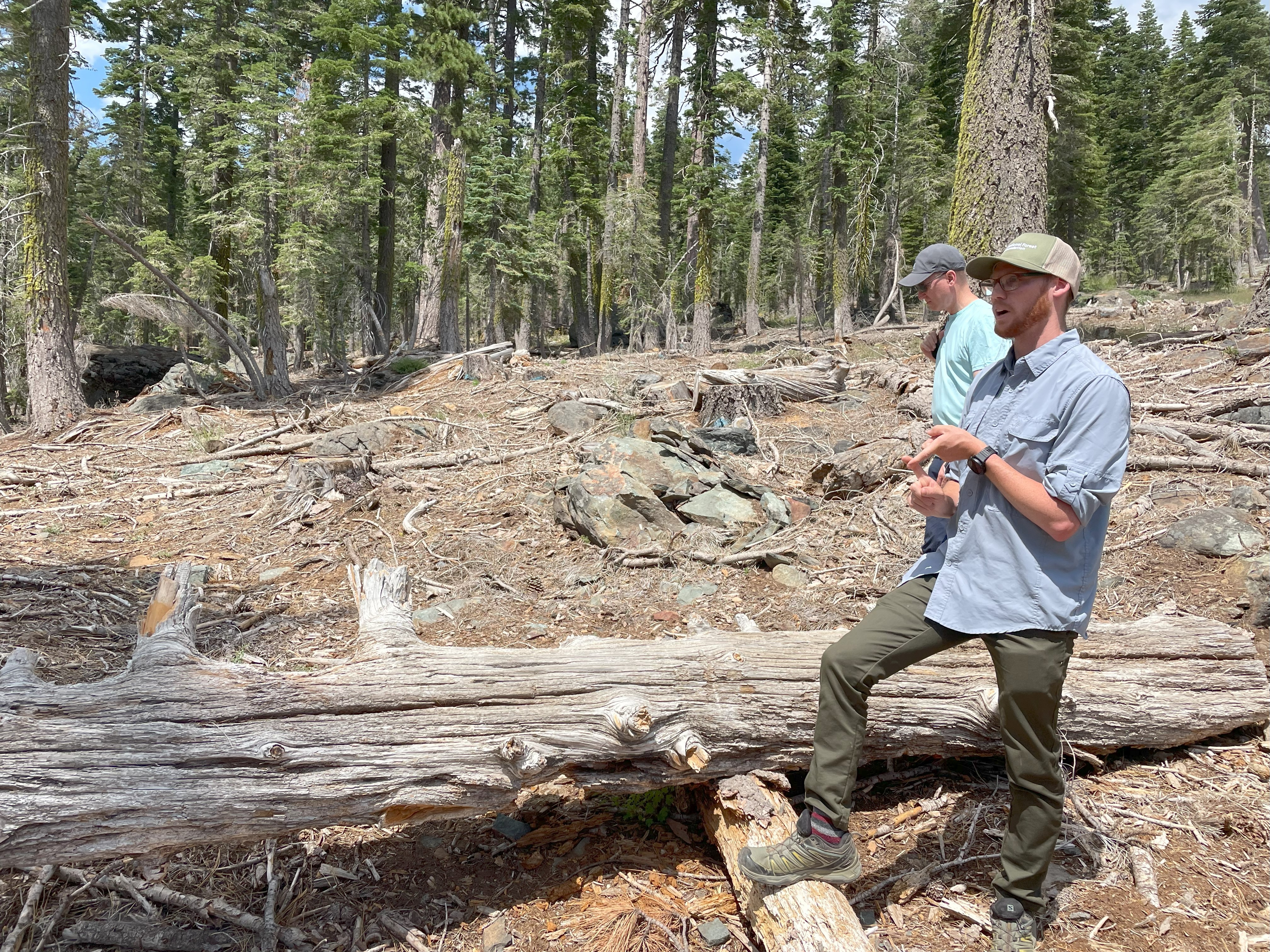 Success Story: Forest Resilience Bond