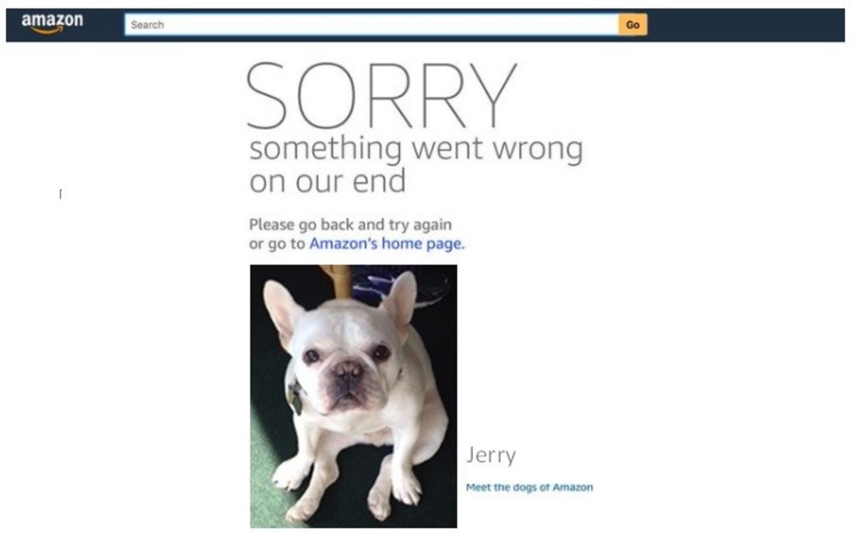 Our new investment platform goes live