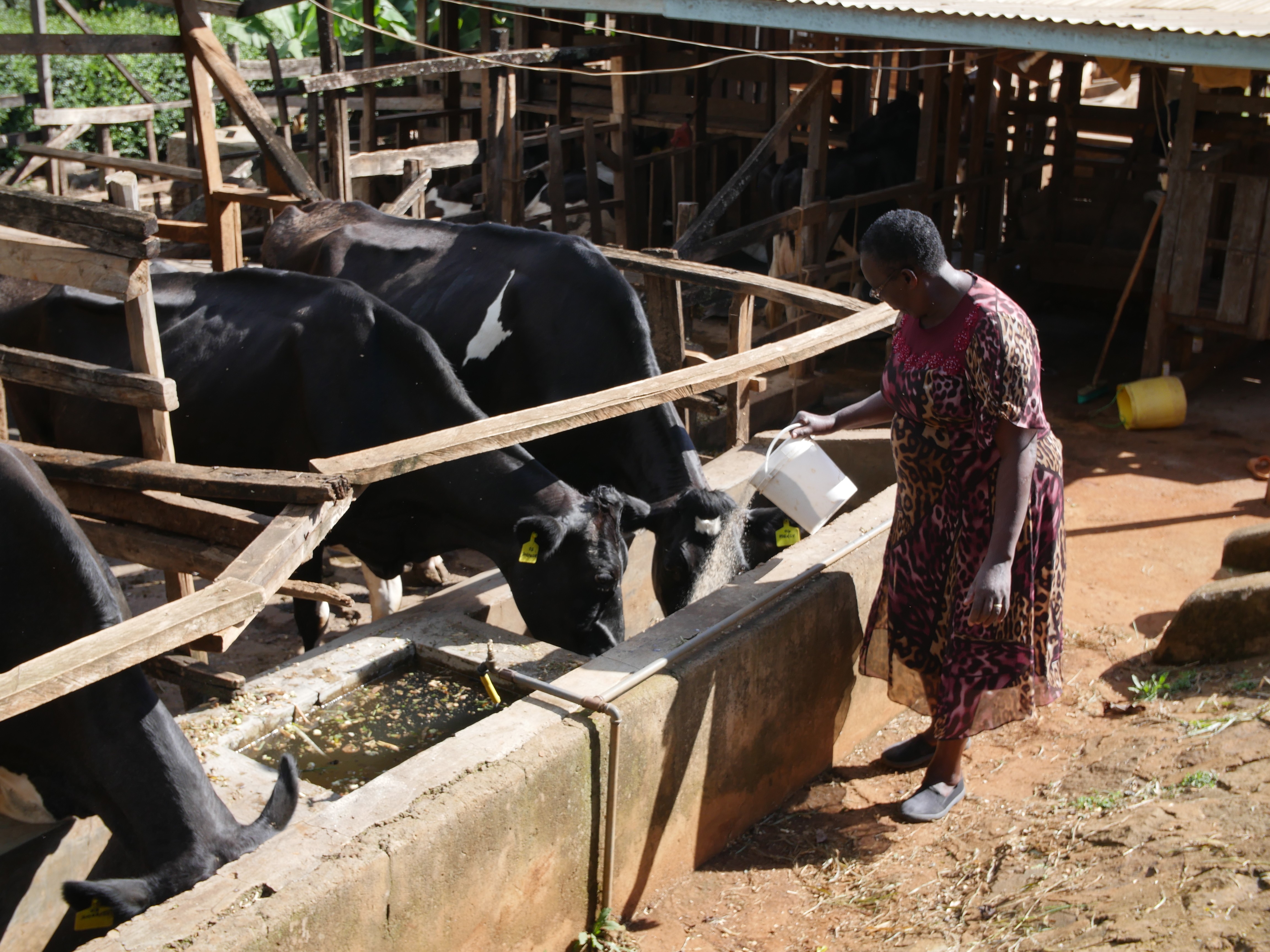 Borrower Spotlight: ECLOF International