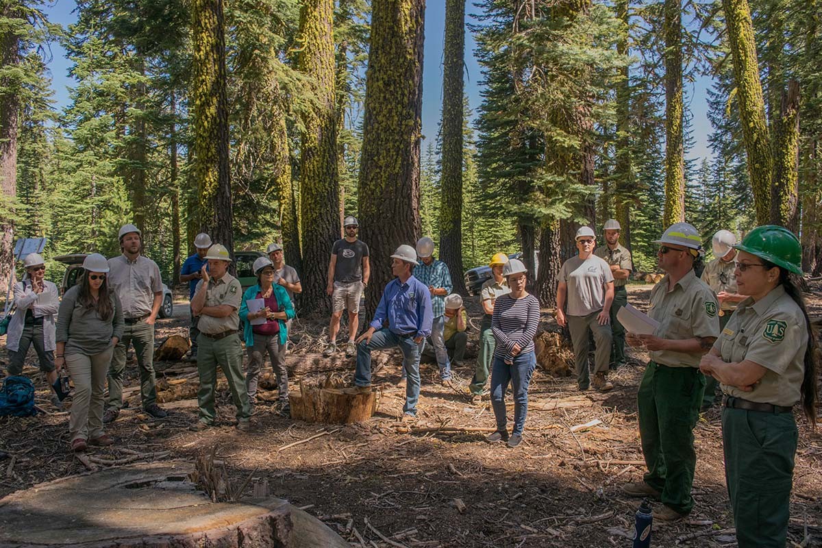 Impact in Action: Faith Investor Profiles