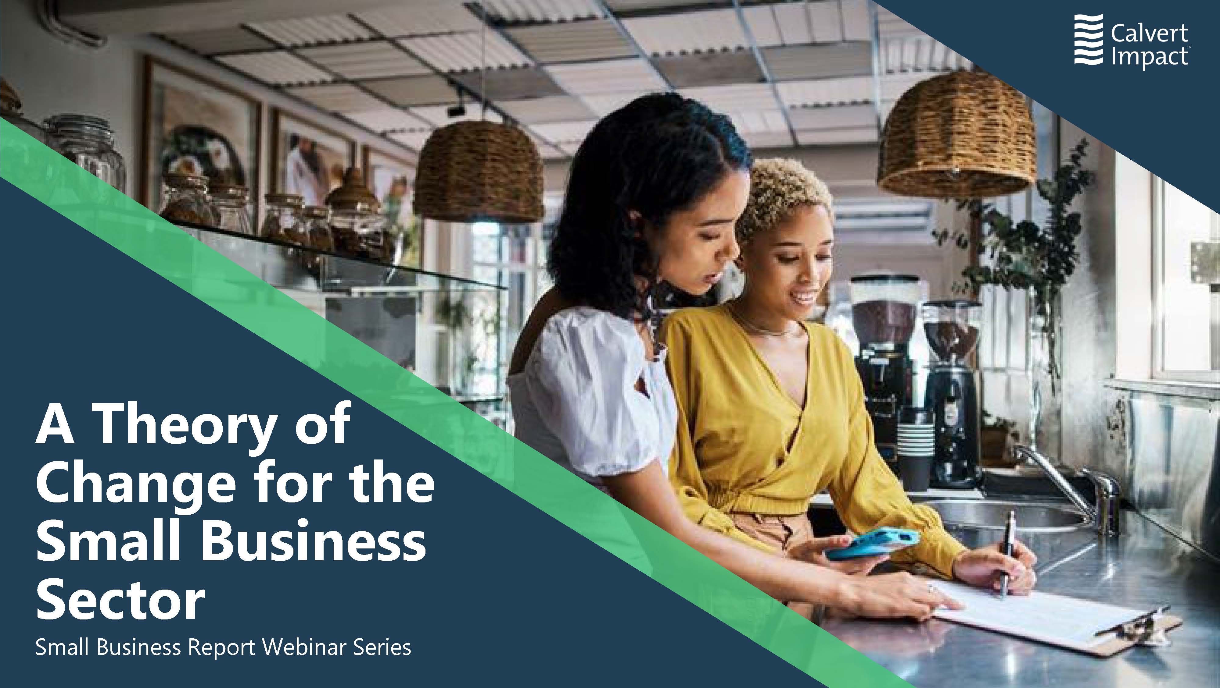 A Theory of Change for the Small Business Finance Sector 