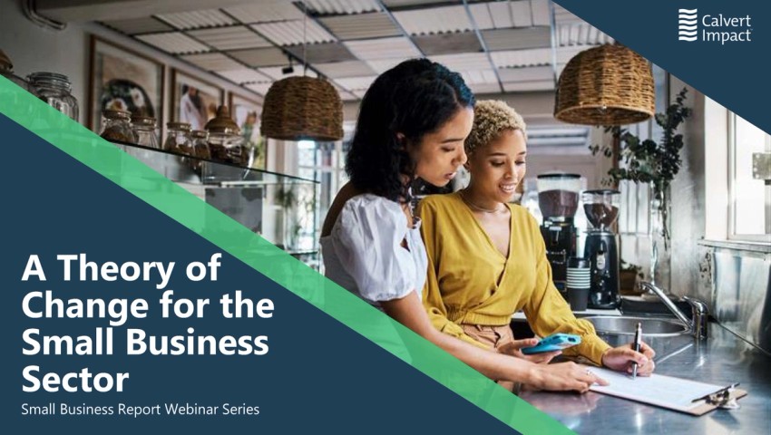 A Theory of Change for the Small Business Finance Sector 