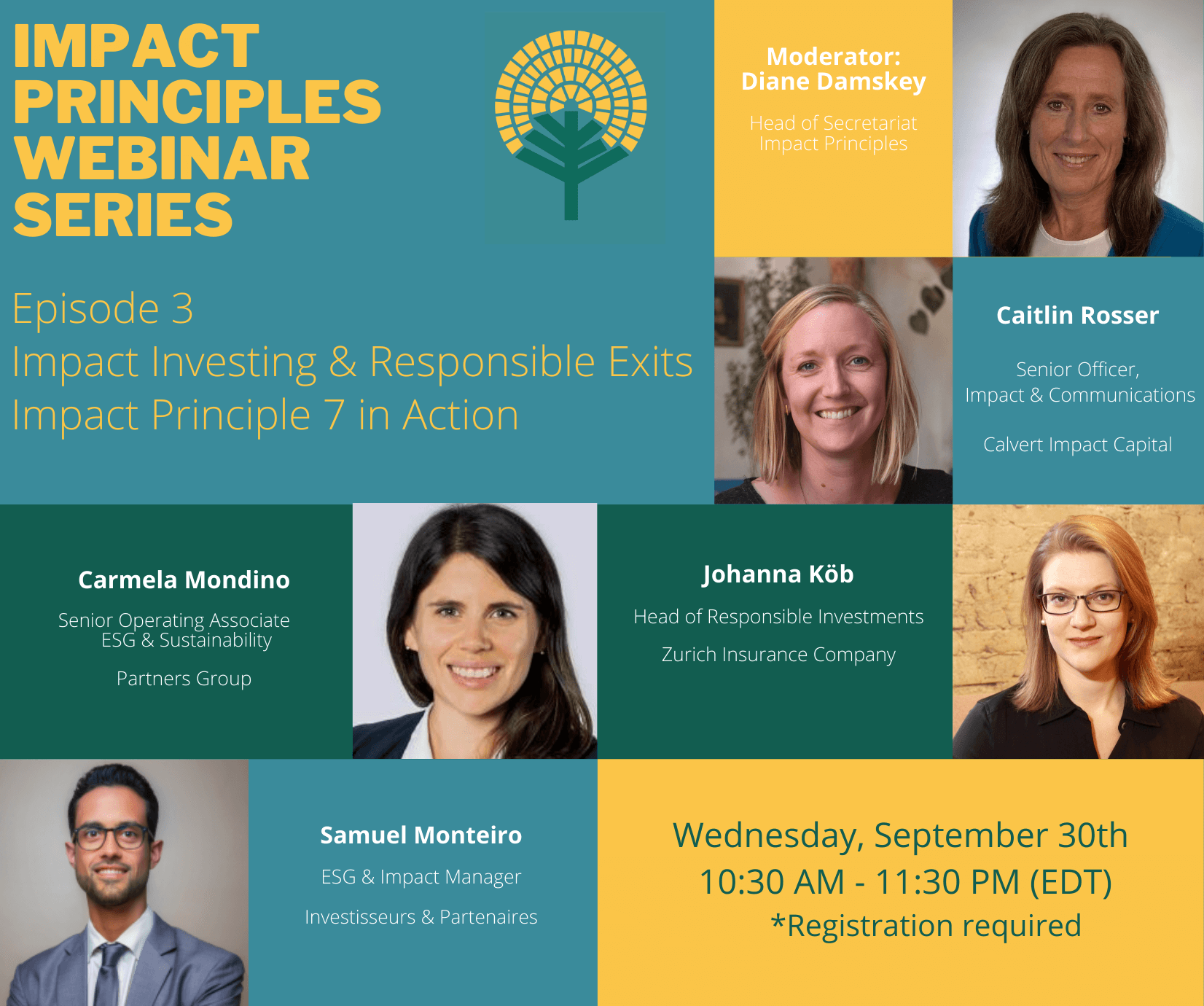 Impact Principles Webinar Series, Episode 3: Impact Investing and Responsible Exits