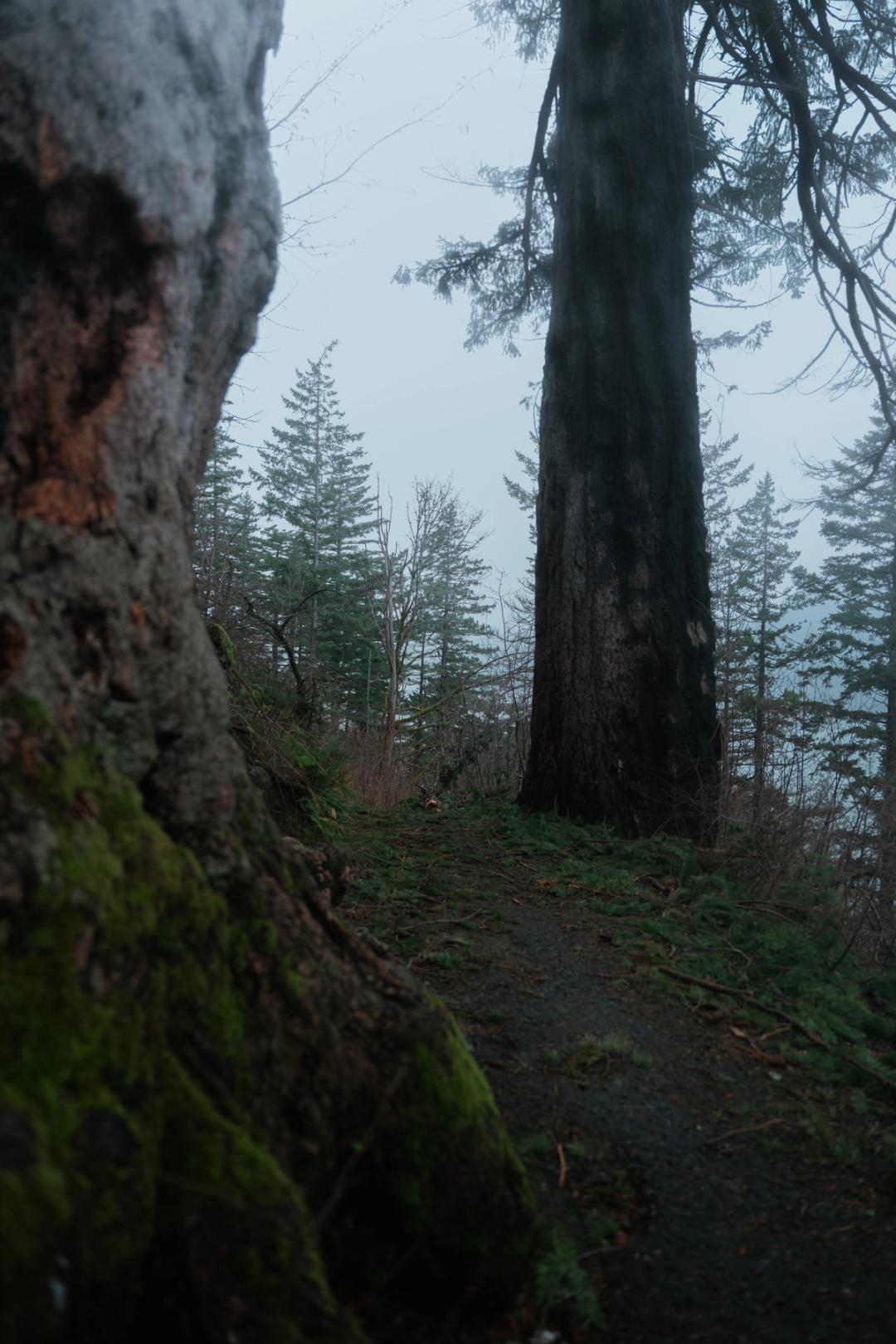oregon