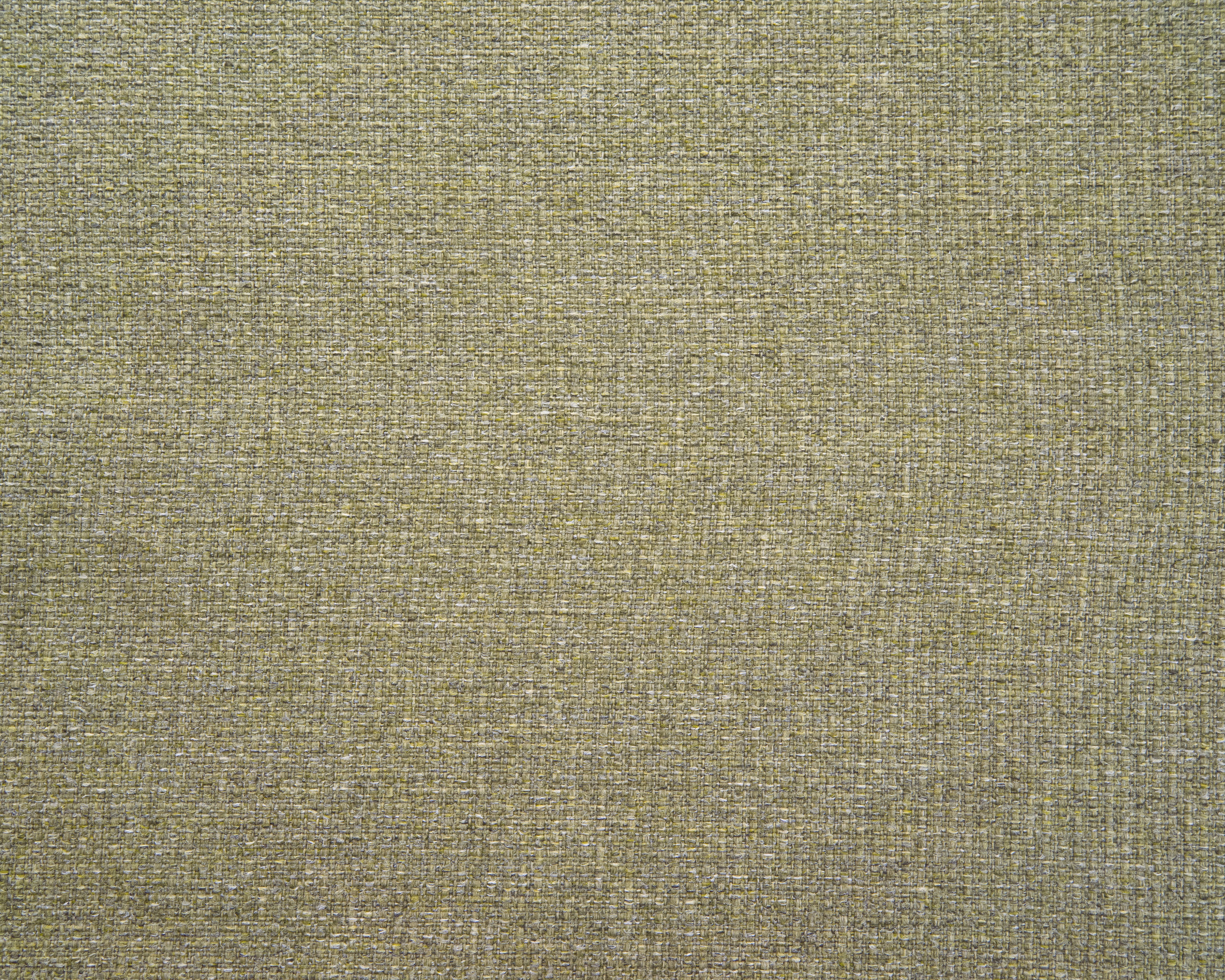 Tweed Sencha