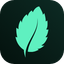 icon of Tidymint