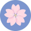 icon of BLOOM