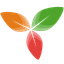 icon of Trilium