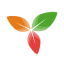 icon of Trilium.cc icon of Trilium.cc