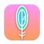 icon of Maccy