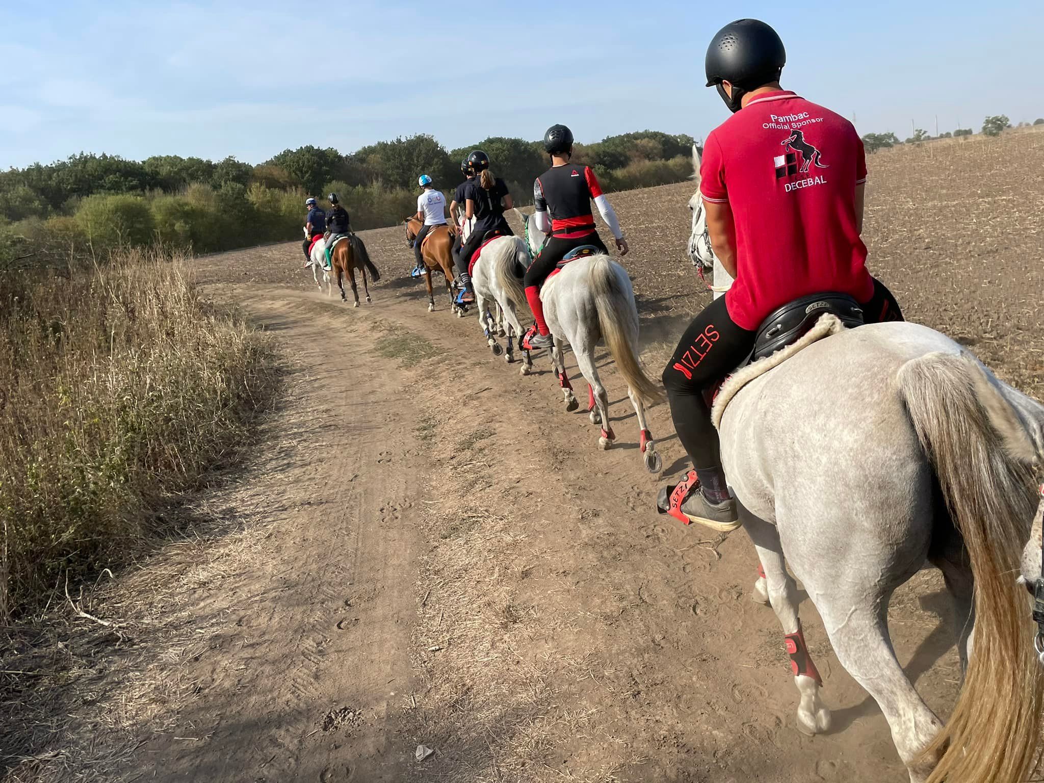 Centrul de Echitatie Decebal