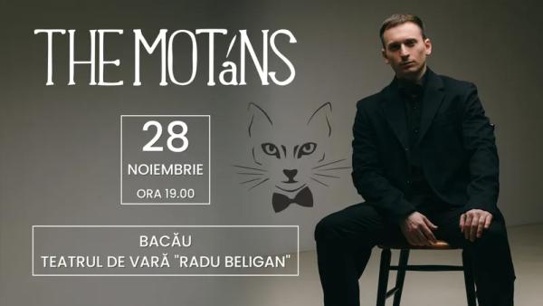 Concert The Motans