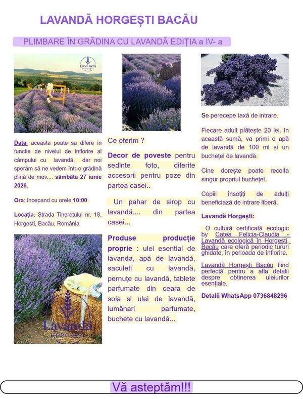 Plimbare in Gradina cu lavanda editia a IV a