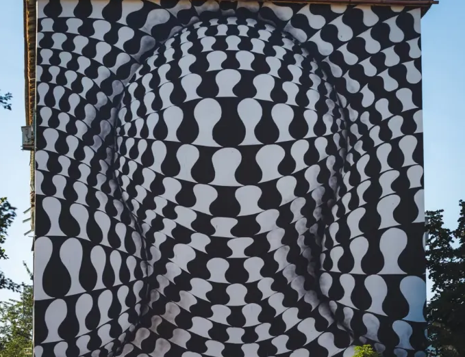 Dualitate in Unitate