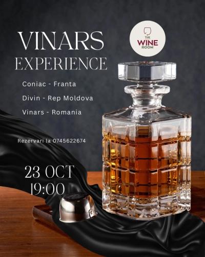 VINARS eXperience