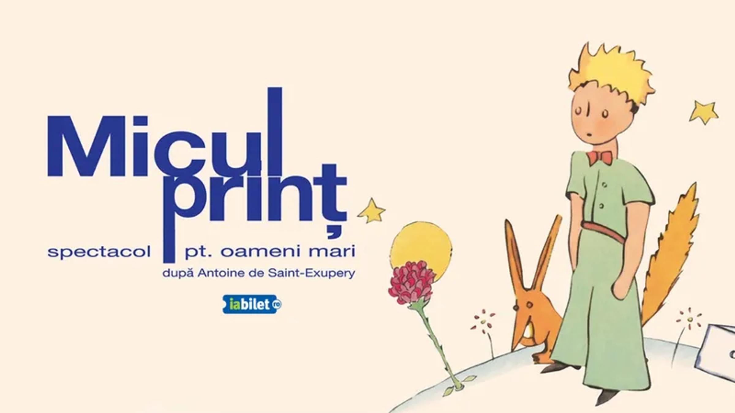 Micul Print - spectacol pentru oameni mari