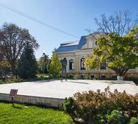 Pocket Park George Bacovia