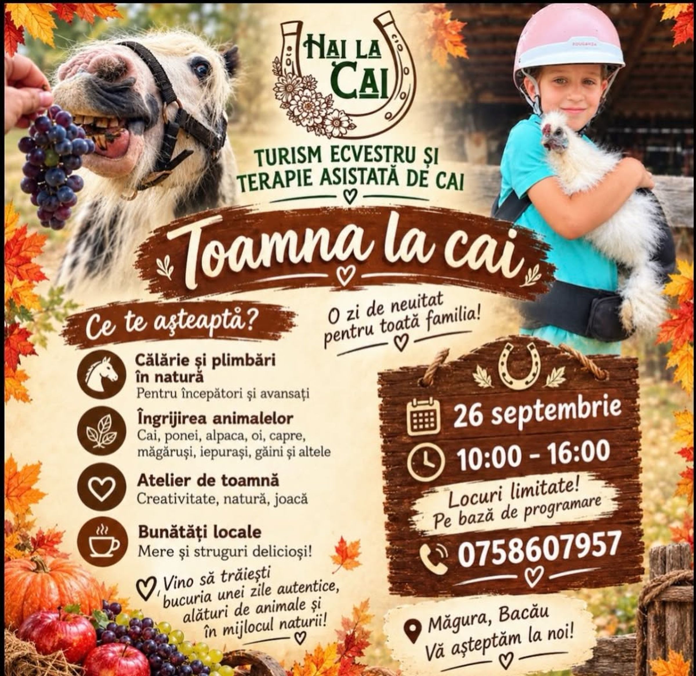 Toamna la Cai