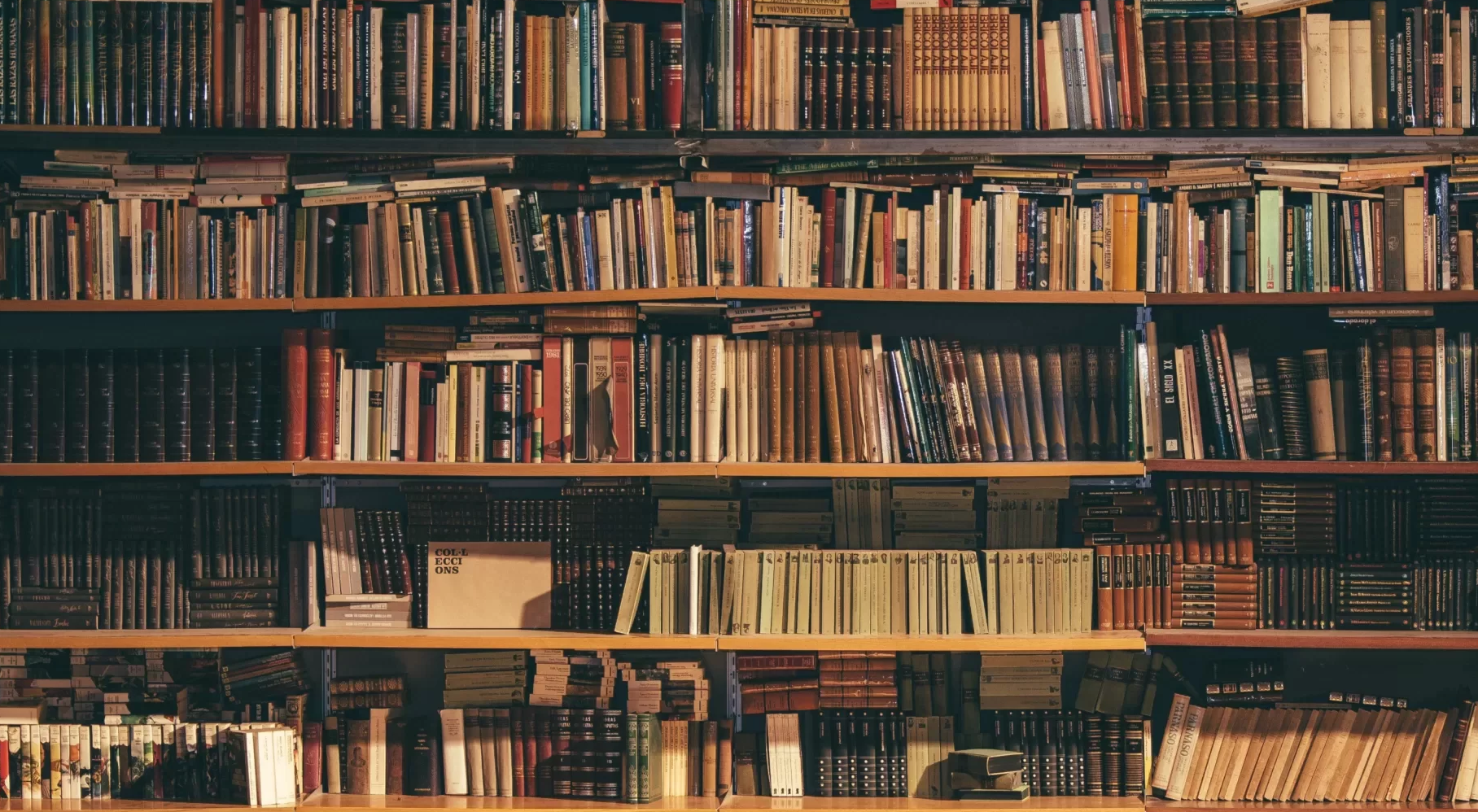 Biblioteca Judeteana Costache Sturdza