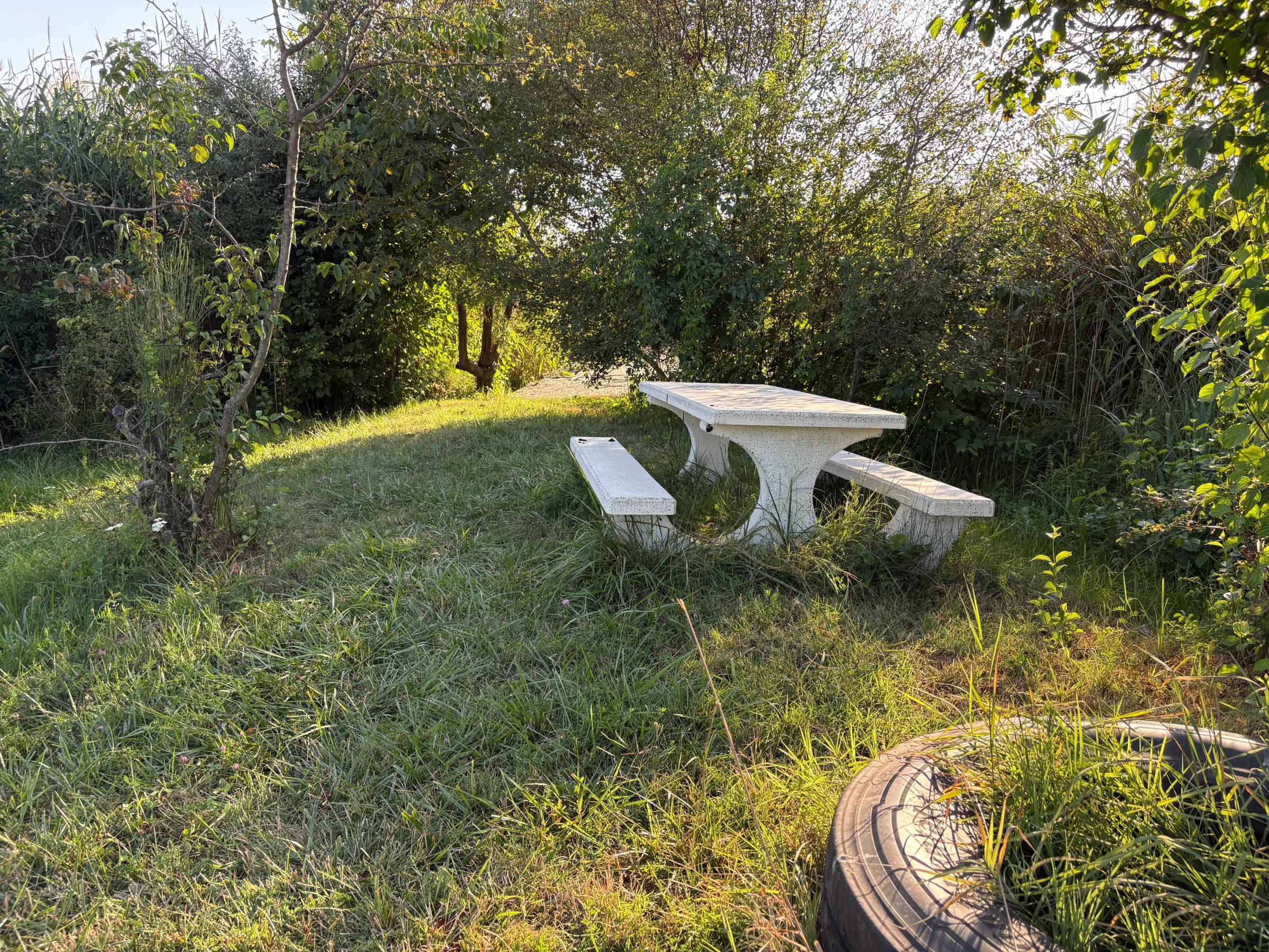 Loc de Picnic - Lacul Bacau