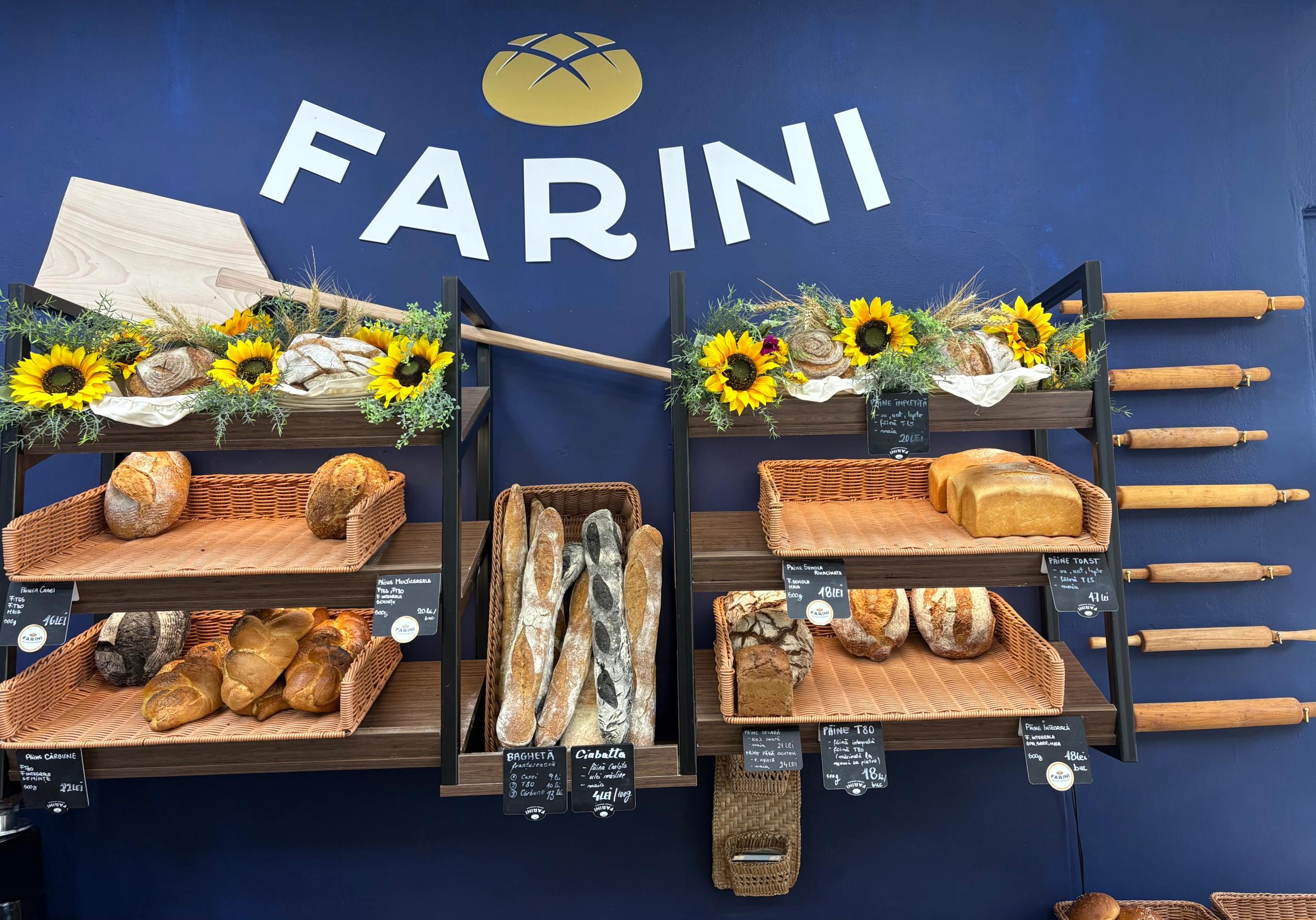 Farini Pasajul Revolutiei