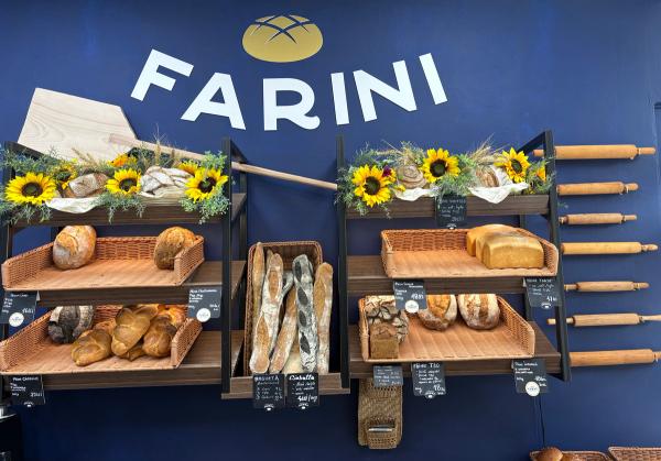 Farini Pasajul Revolutiei