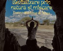 Revitalizare prin natura si miscare - Forest Bathing & Yoga